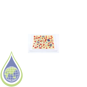 Model, Human Blood Cell 55X33X8Cm Enlarged 2000 X