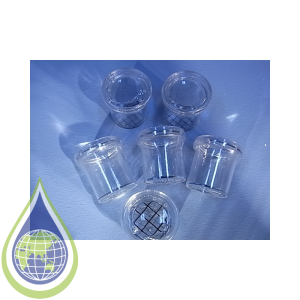 Specimen, Insect, Bug Viewer, 25Mm, Magnified With Grid