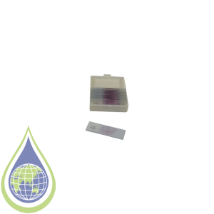 Slide, Microscope, Prepared, Set25, Biology