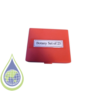 Slide, Microscope, Prepared, Set25, Botany