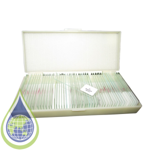 Slide, Microscope, Prepared, Set50, Zoology