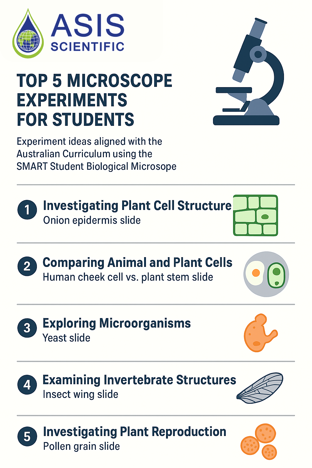 Top 5 Microscope Experiments for Students Using the SMART Student Biological Microscope